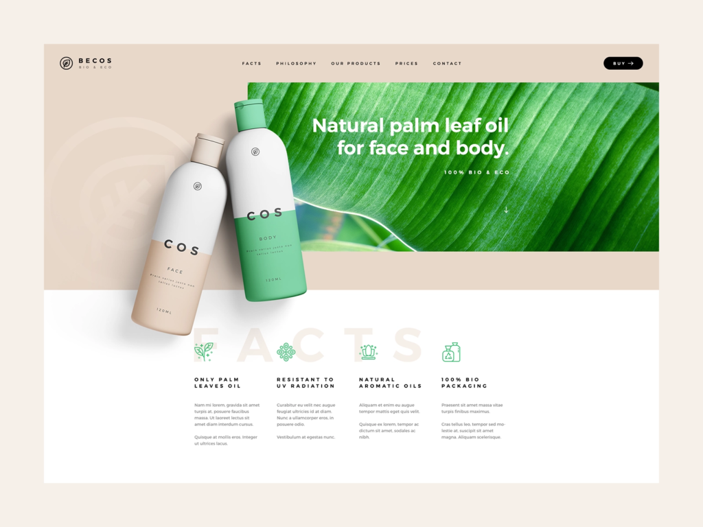 Exemple webdesign couleurs naturelles